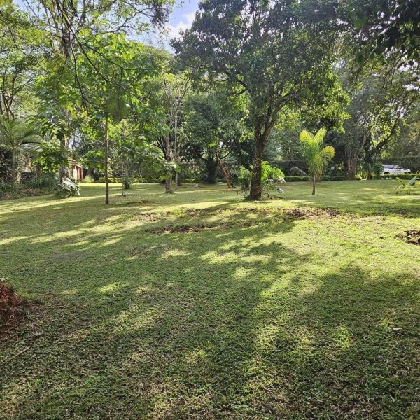 HOUSE TO LET IN KAREN, HARDY